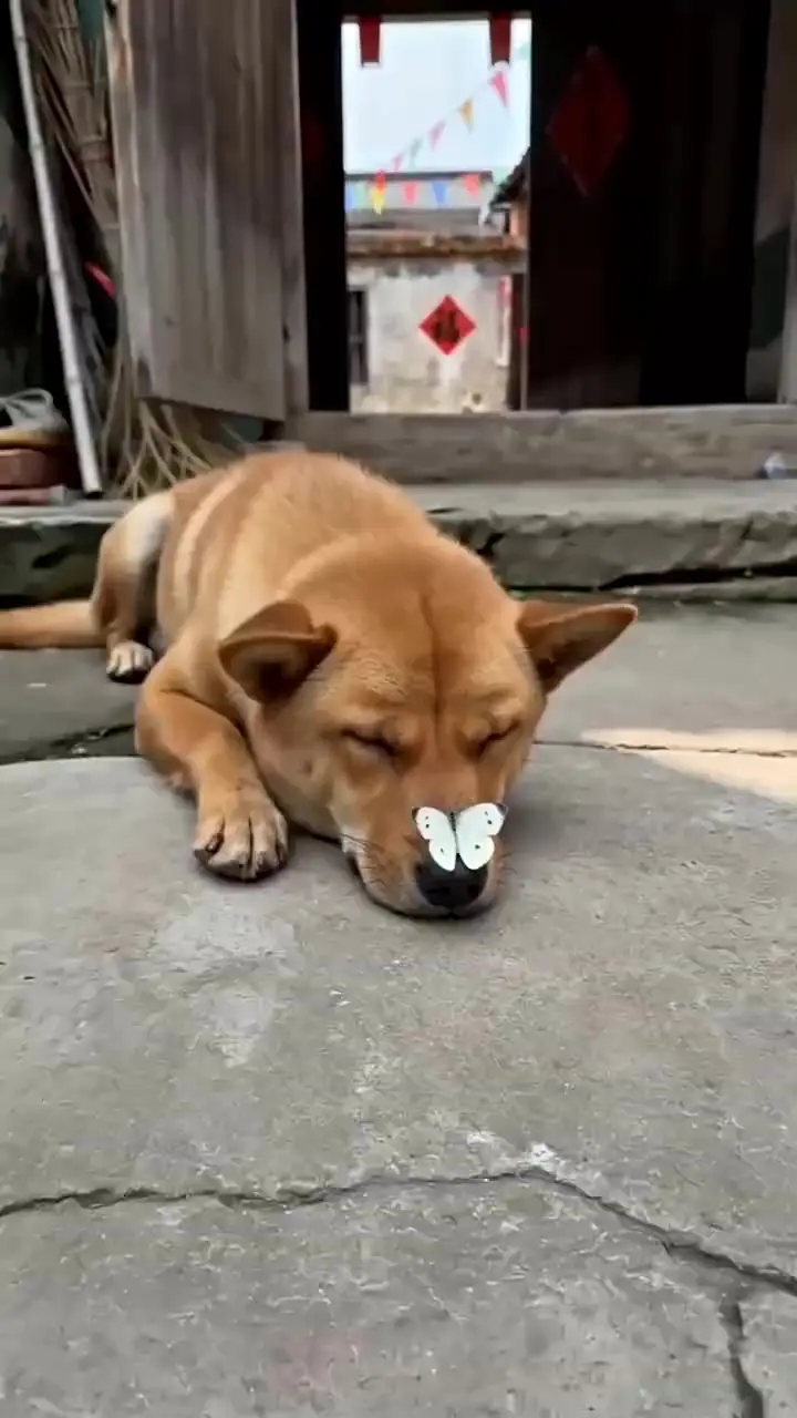 Episode 1 - Payback in a Poor Man's Clothes